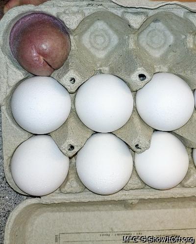 Adult image from M*C*S