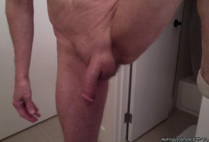 Photo of a weasel from nkdmiguy