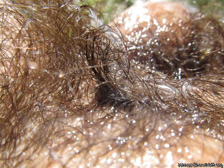 Photo of a cock from Johnas