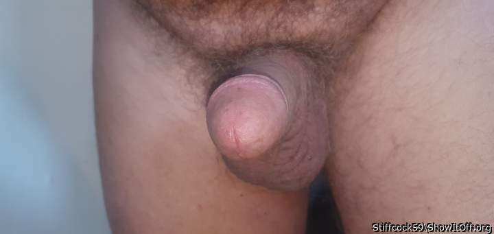 Photo of a hot dog from Stiffcock59