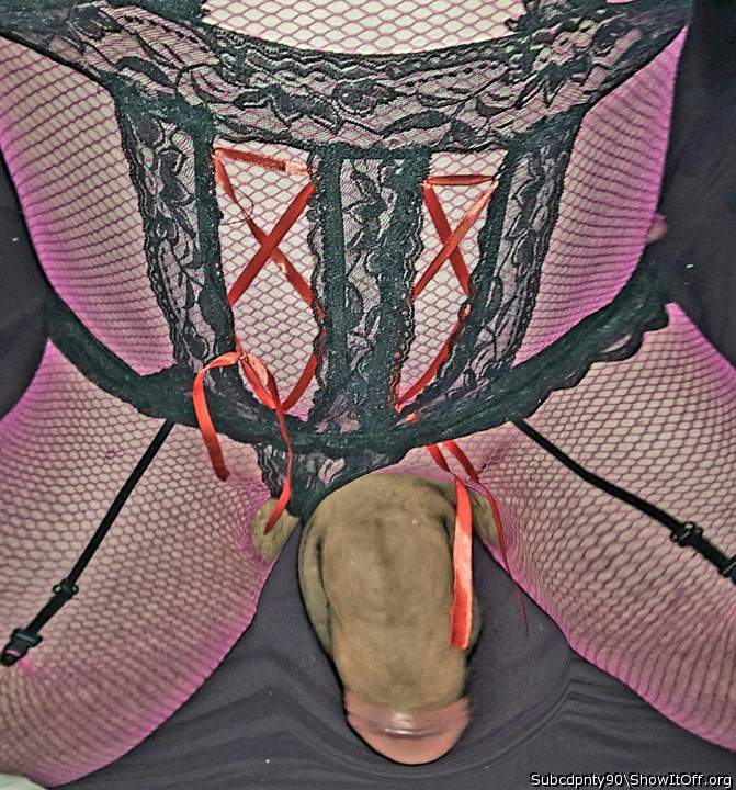Photo of a cock from Subcdpnty90