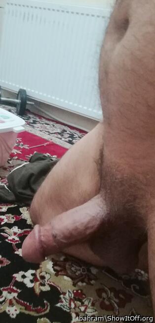 Photo of a pecker from bahram