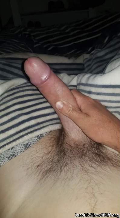 Photo of a python from Jaco86