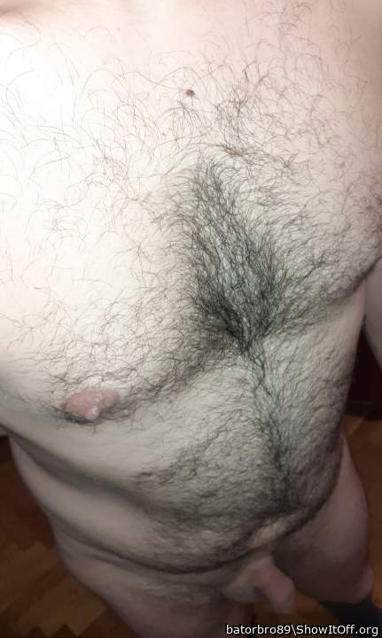 Photo of a cavalier from batorbro89