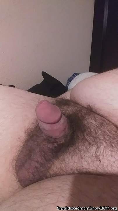 Photo of a weasel from Smalldickedman