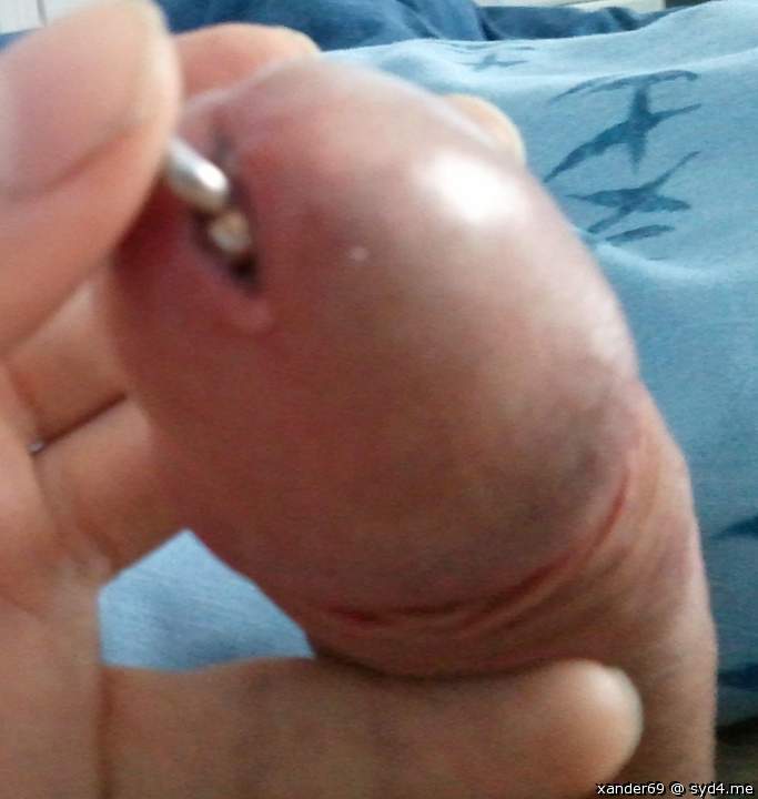 Photo of a schlong from xander69