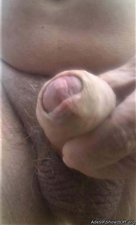 Photo of a bald-headed mouse from Ade59