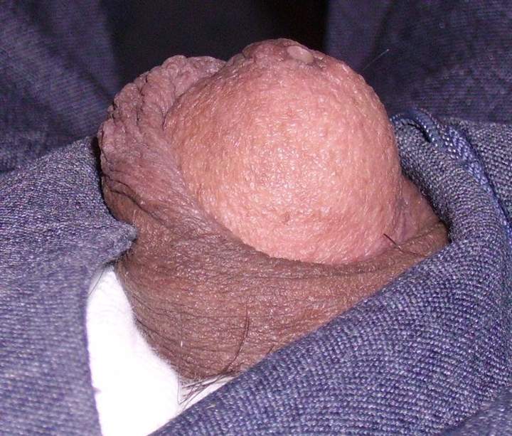 Photo of a cock from greatct
