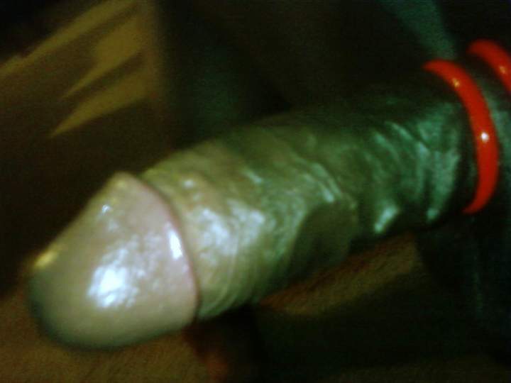 Photo of a third leg from Assman80