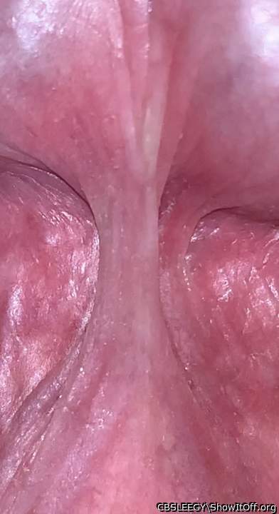 Frenulum Close Up