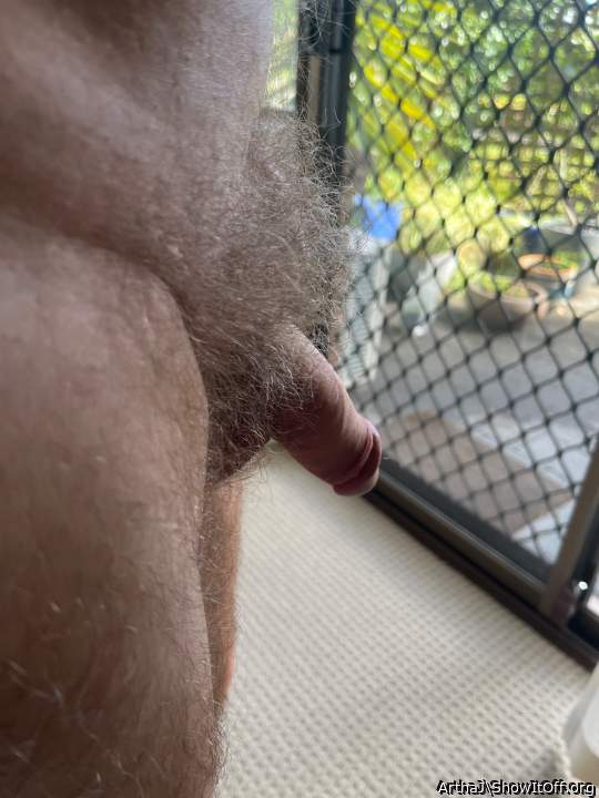   beautiful bush  