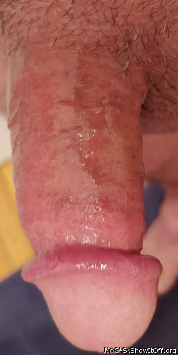 Photo of a dong from M*C*S