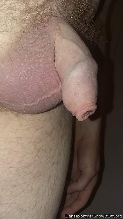 Love to suckle on that teat!  