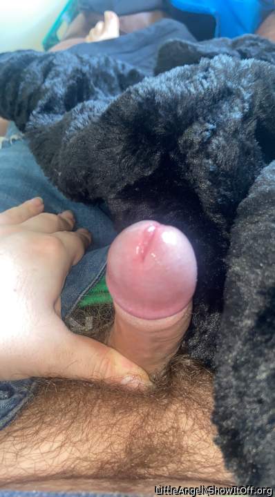 Photo of a middle leg from LittleAngel
