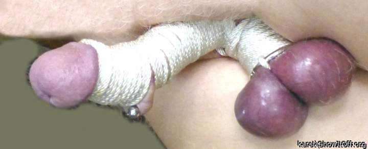 Photo of a middle leg from karst