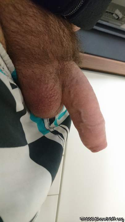 Photo of a middle leg from tiit666