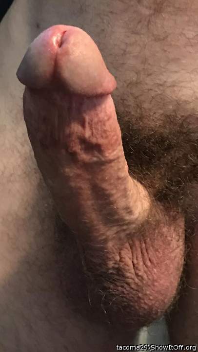 Need to put this somewhere wet and warm