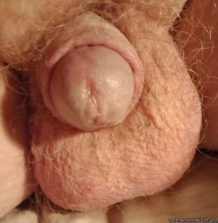 Ginger balls