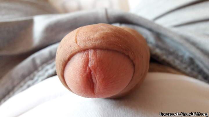 Photo of a pecker from massivecock