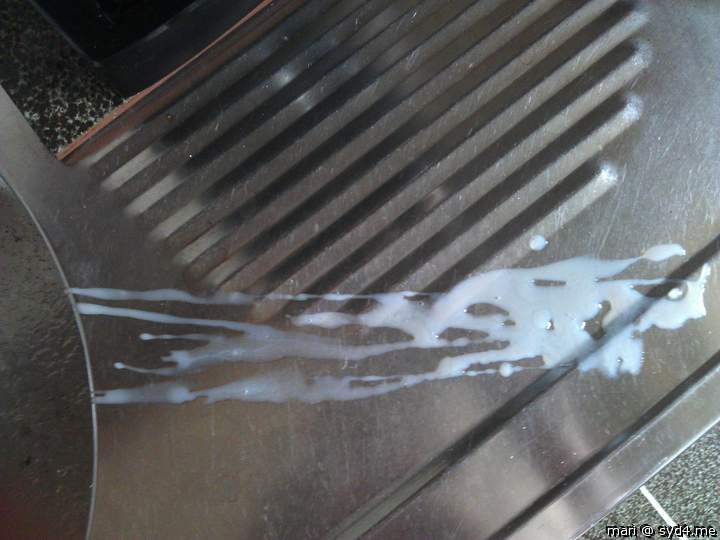 Photo of a snake from mari