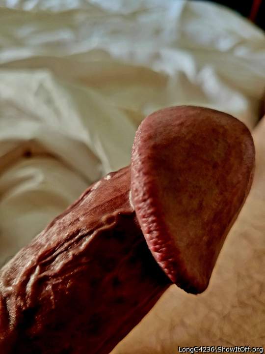Photo of a dong from LongG4236