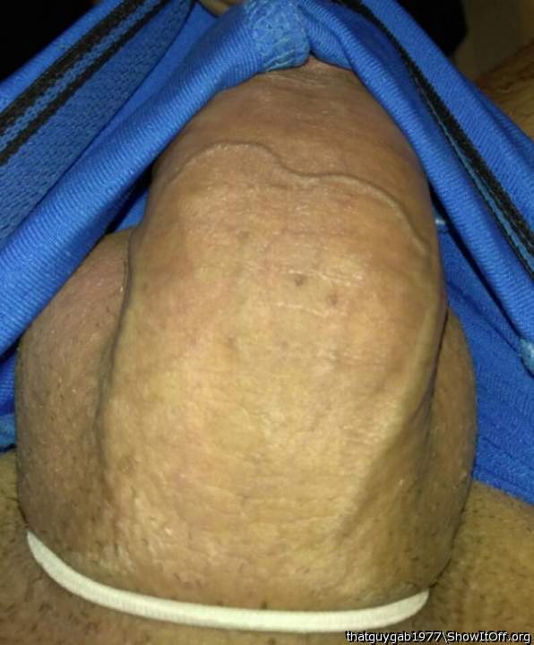 Photo of a rooster from thatguygab1977
