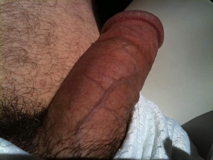 Photo of a weasel from bdguy