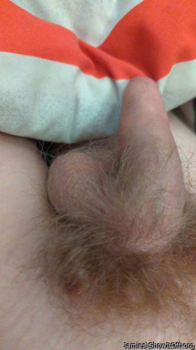 My soft penis