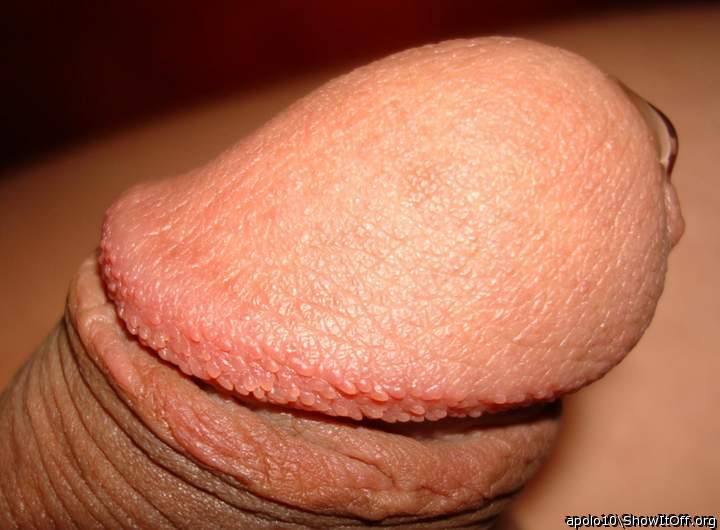 apolo10 closeup precum