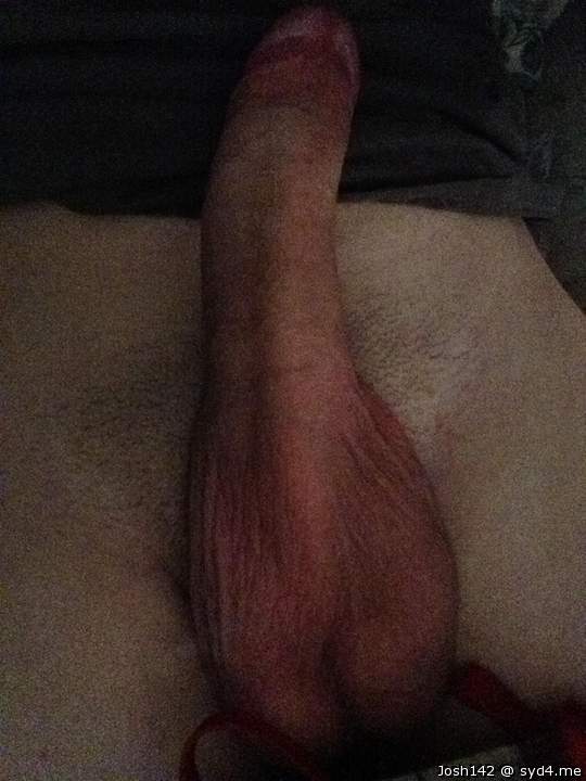 Cock photo