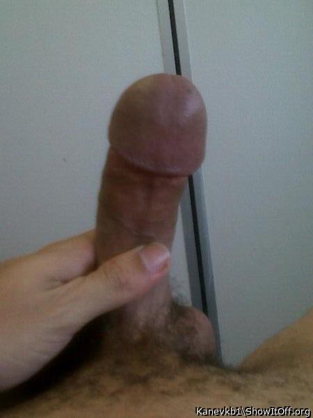 Photo of a cock from Kanevkb1