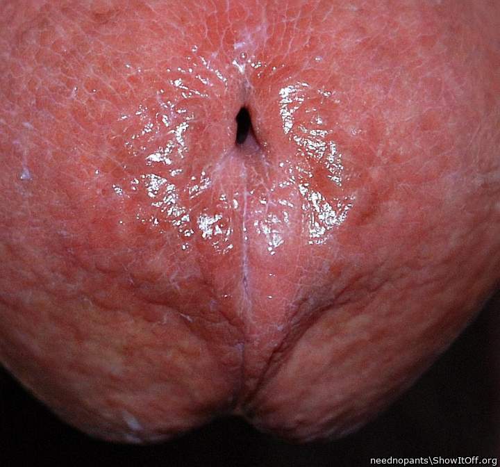 Photo of a shaft from neednopants