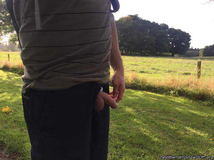 I just popped out for a walk