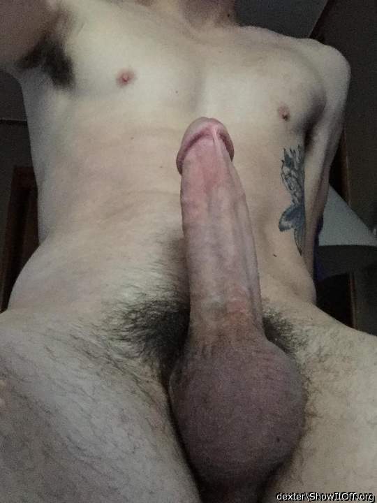 Looks like is ready for a deepthroat