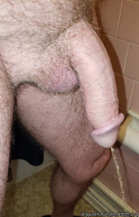 Photo of a weasel from BiggusDickus