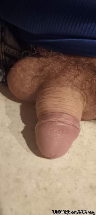 Photo of a penis from DILF48