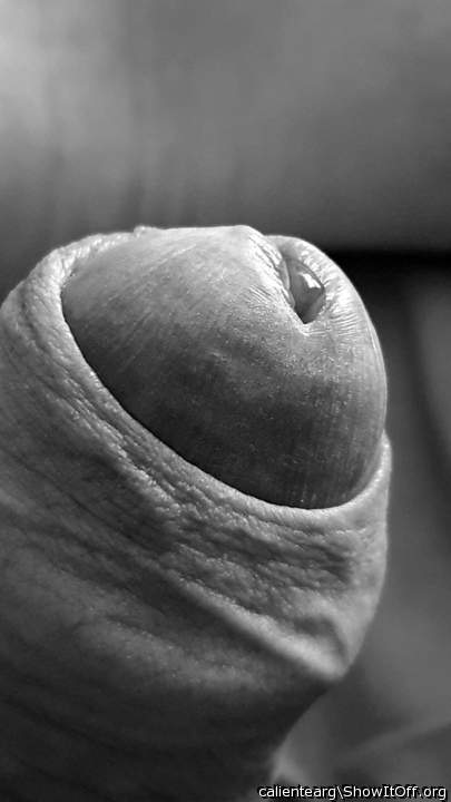 Would lick it all