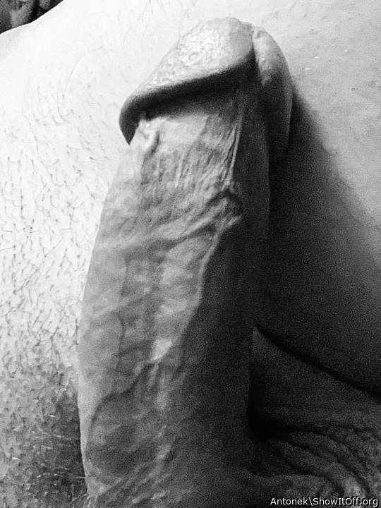 Photo of a third leg from Antonek