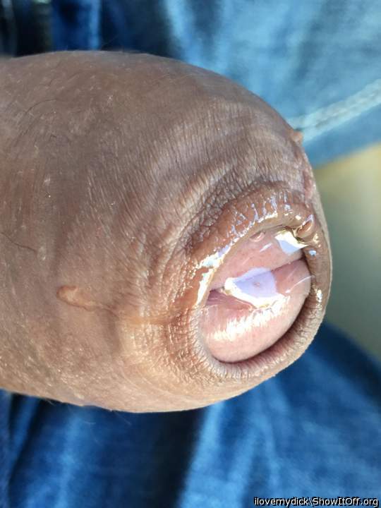    excellent close-up ... very tasty ! 