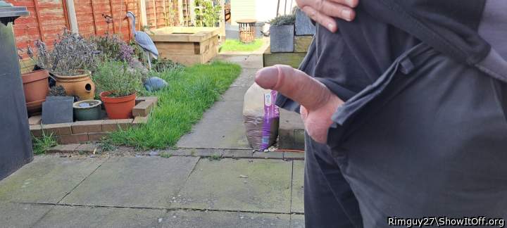 Photo of a pecker from Rimguy27