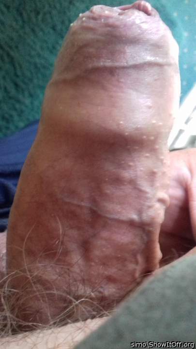 Photo of a sausage from simo