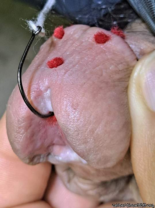 Photo of a cock from caliber