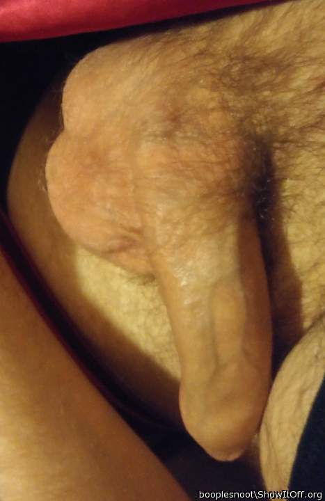 Photo of a private part from booplesnoot