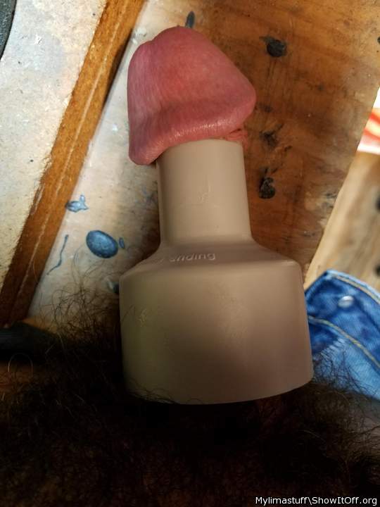 Photo of a weasel from Mylimastuff