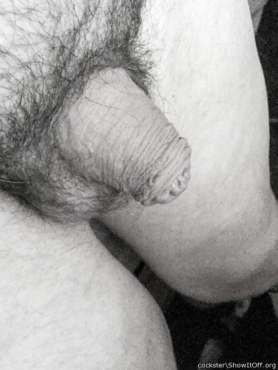 Photo of a member from Cockster