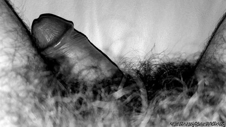 Photo of a wiener from calientearg