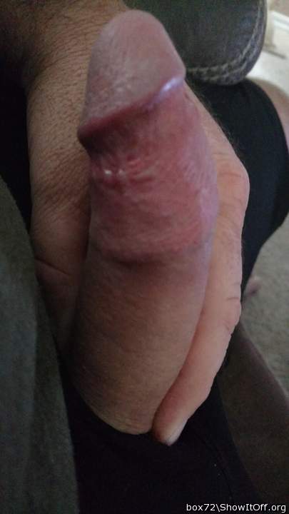 my tongue loves to lick cocks