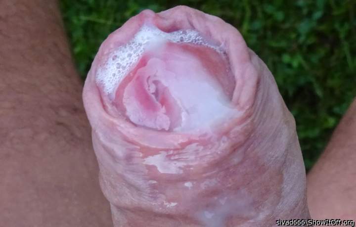 Photo of a hot dog from sivad666