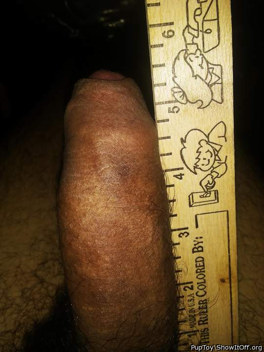 Photo of a horn from PupToy