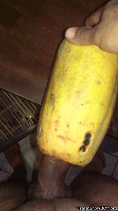 Photo of a cavalier from visalia